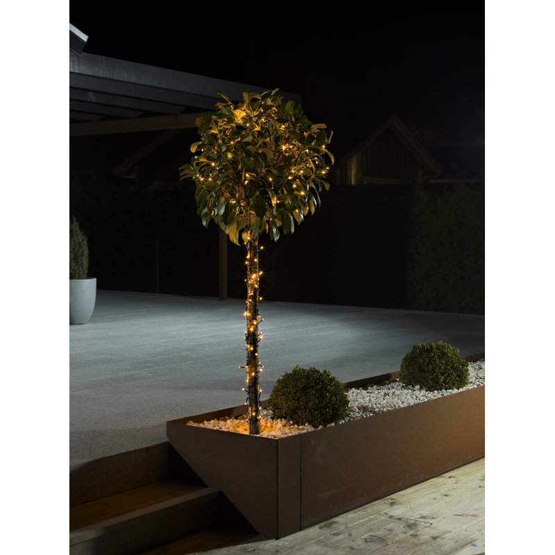 1772cm LED 160 - Bulb Wide Angle LED String Light
