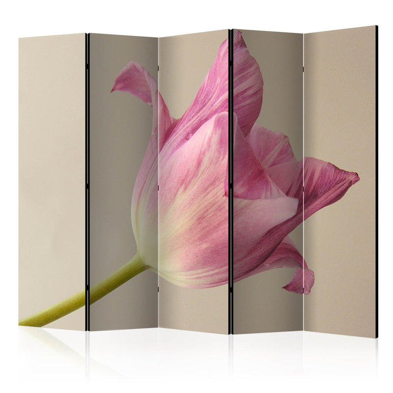 225cm W x 172cm H 5 - Panel Solid Wood Folding Room Divider