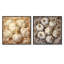 Garlic Ivory Intricacy - Vegetables Square Collage Set Of 2-976371605-976371604