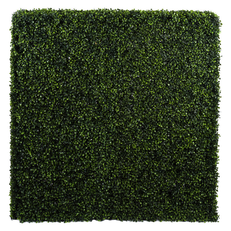 Boxwood Wall Panel Arrangement, 72" H x 48" W x 16" D