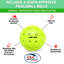 Ensemble de jeu de pickleball GoSports avec 4 raquettes, 4 balles de pickle réglementaire et étui de transport - rétro-95587845