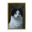 «Black & White Cat Angst», toile flottante encadrée par Laura Mark-Finberg-1565471528-1569333565