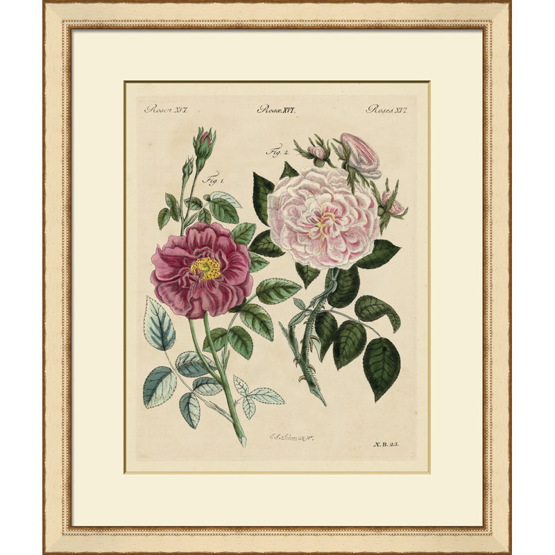 Pink Roses II Painting