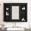 Armoire murale noire avec rangement réglable 35 po x 27,5 po, noir