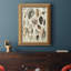 " Seashell Display "-2116054320