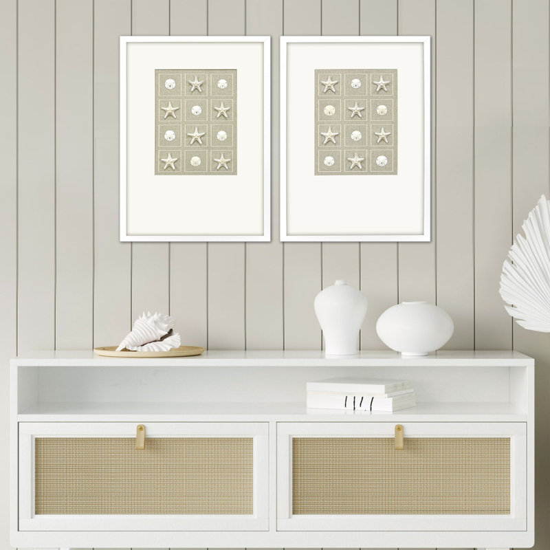 Shell Collection Framed Art