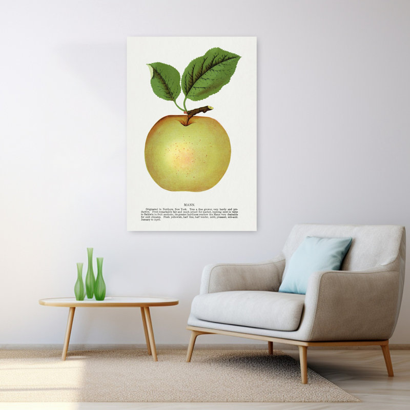 Pomme de lin Mann, H 48 po x l 32 po