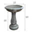 Birdbath