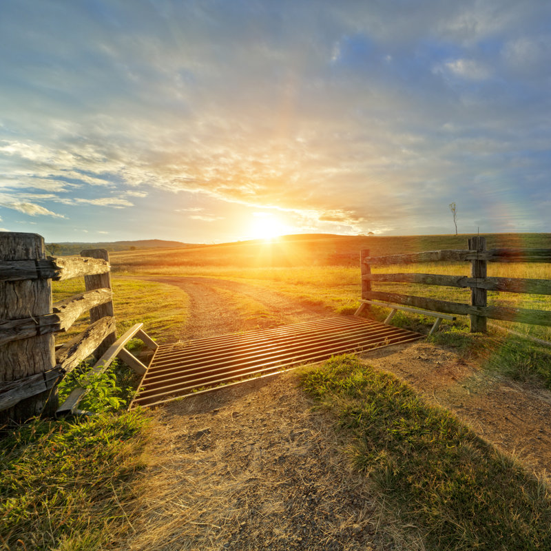 Farm Enclosure With Bright Sunset - Wrapped Canvas Print, 30cm H x 30cm W x 3.8cm D