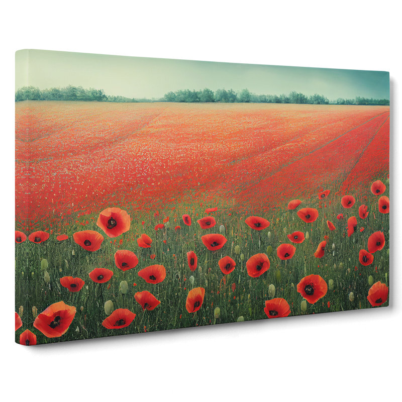 XXX-H1022-WF-8584X Sumptuous Poppy Field Flowers - Wrapped Canvas Print, 35cm H x 50cm W x 3cm D
