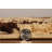 Kerens Indoor Rug-1171140955