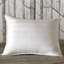 Rhapsody Luxe Down Plush Support Pillow-11939784
