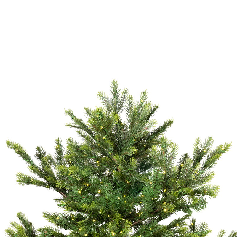 Pre-Lit Full Oregon Noble Fir Artificial Christmas Tree - Warm White LED Lights, 6.5' H