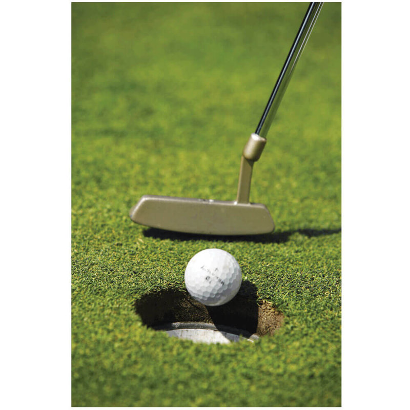 Sports Non-Wall Damaging, 36" H x 24" W x 0.1" D