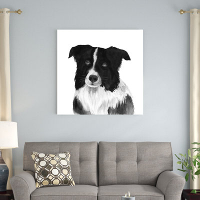 Border collie II