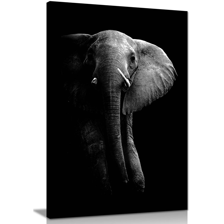 Huge Elephant In Darkness - Wrapped Canvas Print