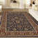 Oriental Indoor Rug