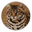  Tapis lavable Chausie-1871128070