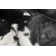 Ingham Black and White Faux Cowhide Area Rug