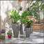 Jardinières hautes avec trous de drainage