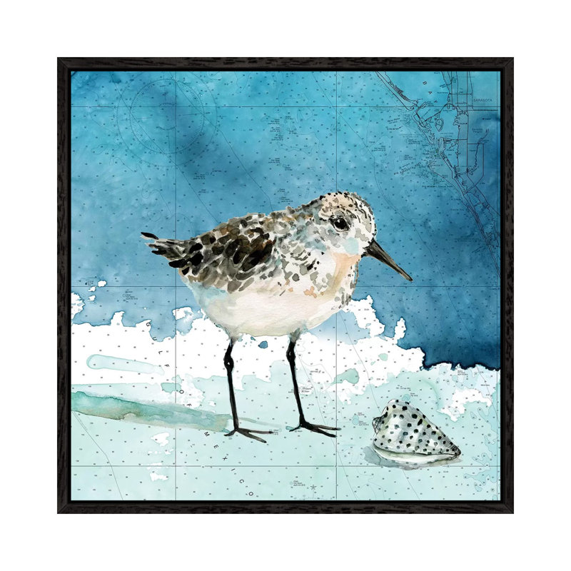 Bay Shore Sandpiper I by Carol Robinson - Print on Canvas, 93.98 cm H x 93.98 cm W, Black Framed