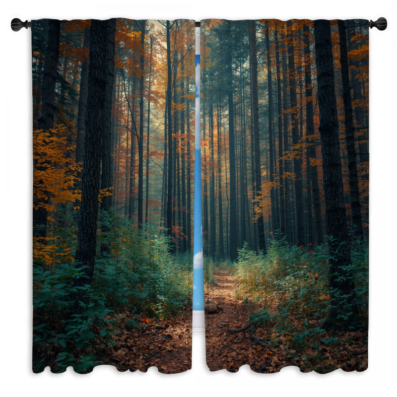 Rideaux obscurcissant et obscurcissant Autumn Forest Pathway - 2 panneaux, 20 po x 60 po - 2 panneaux
