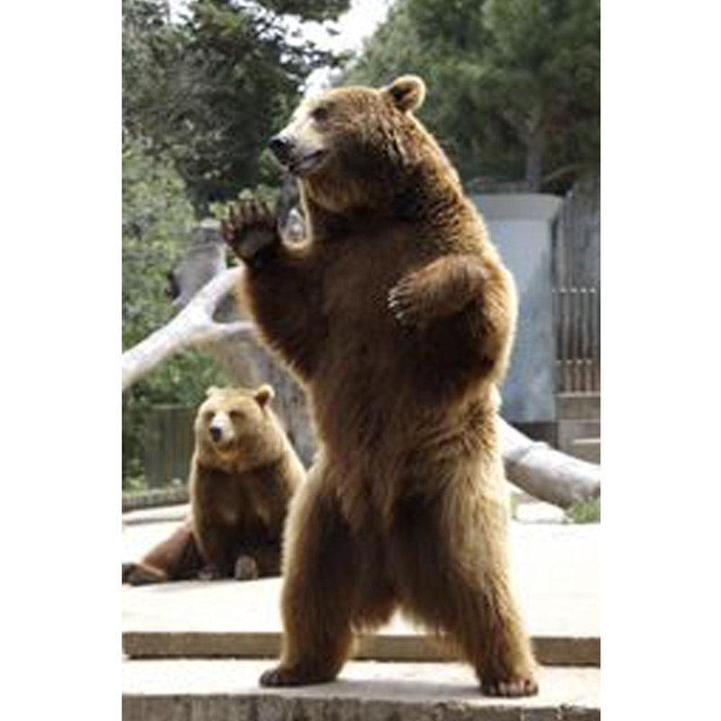 Animals Non-Wall Damaging Wall Decal, 60" H x 40" W x 0.1" D