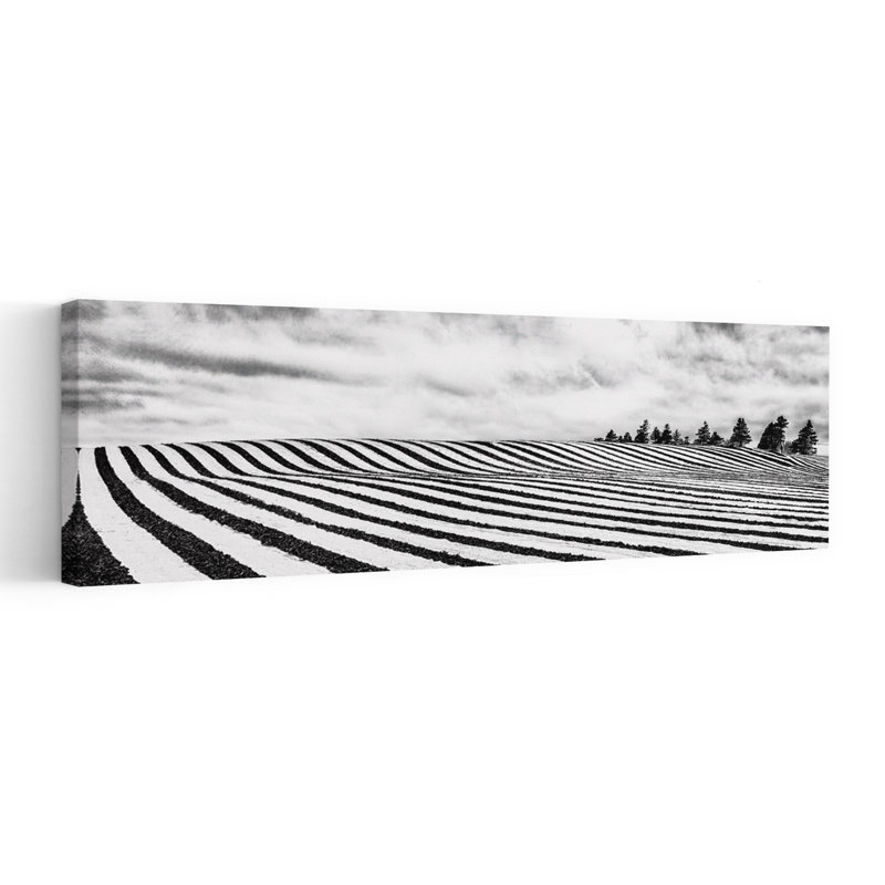 Patterned Winter Landscape by Michel Groleau - Wrapped Canvas Panoramic Print, 121.92 cm H x 40.64 cm W