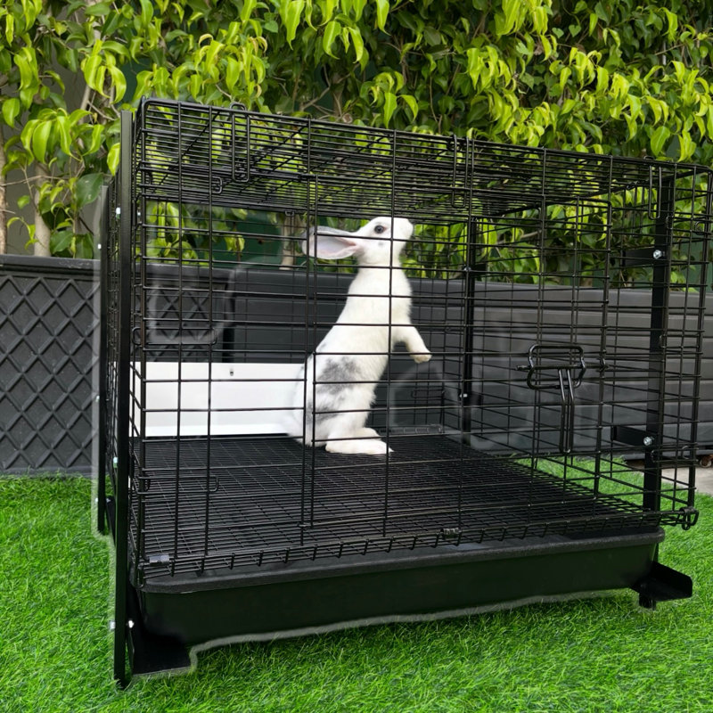 Cage à lapin 24 po facile à nettoyer avec plateau - Maison durable, empilable et confortable pour petits animaux de compagnie - Noir