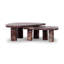 Zion Nesting Coffee Table-939944886
