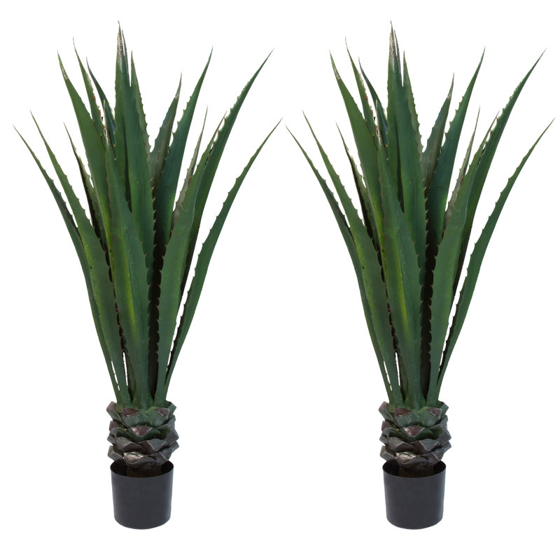 Primrue, ensemble de deux fausses plantes d'agave géantes