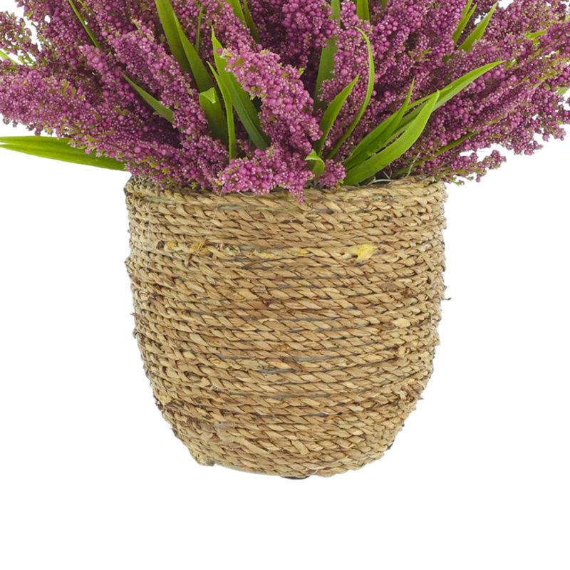 Heather in Strawgrass Pot, Pink