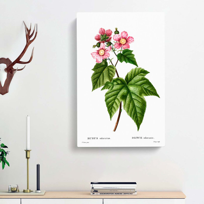 Blooming Raspberry Bush by Pierre-Joseph Redoute - Wrapped Canvas, 50cm H x 35cm W x 3cm D