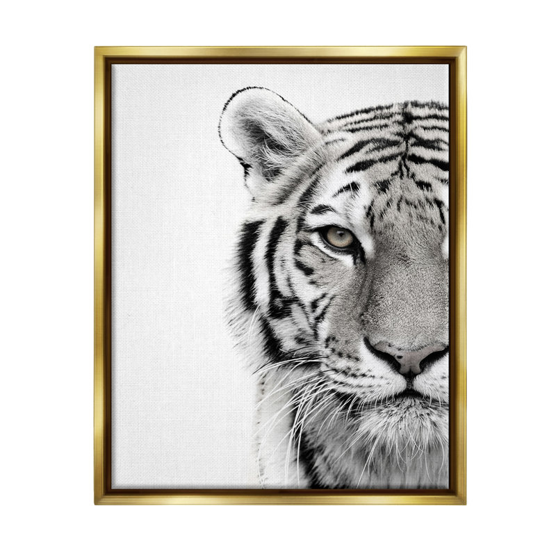 Tigre blanc, gros plan, photographie sur toile en noir et blanc par Design Fabrikken, L 25 po x H 31 po