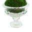 Floor Faux Palm Plant in Vase