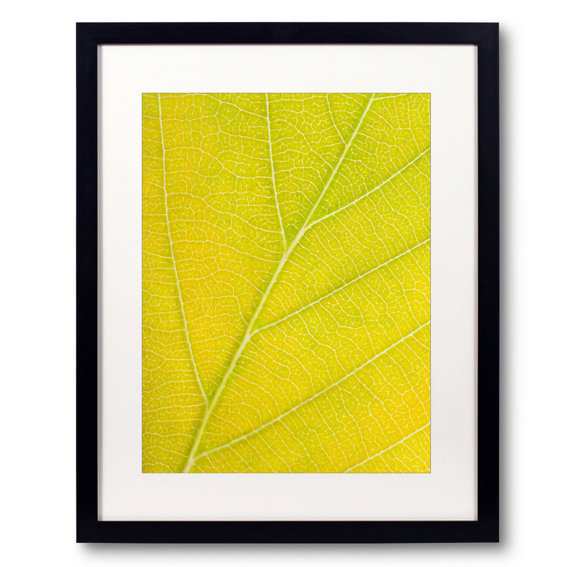 Autumn Leaf by Philippe Monthoux, Black Framed Paper, 20" H x 16" W