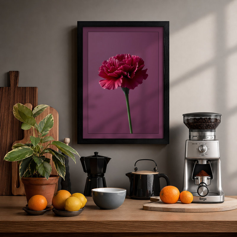 Magenta Carnation Study Botanical - Framed Print, A1 - 84.1 x 59.4 cm, Black