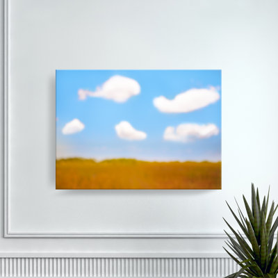 One of a Kind Art Everglades Sky by Cheryl Marder - Print on Paper
