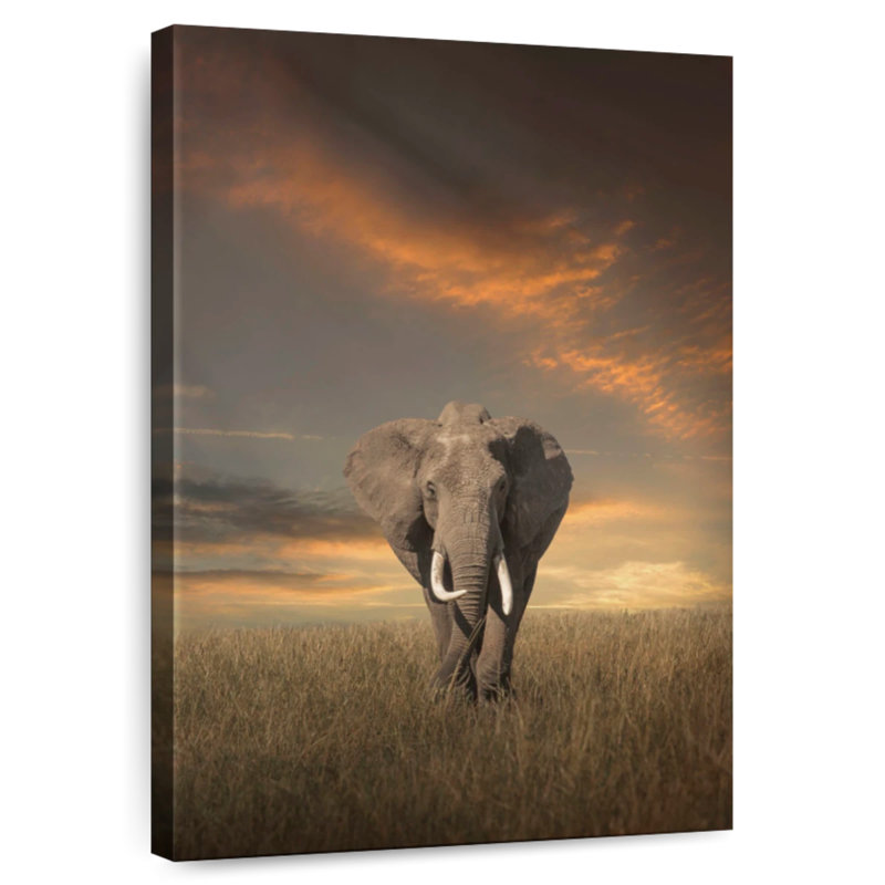 Brampt Savanna Mammoth, 39" H x 26" W