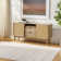 Indoor / Outdoor Rug