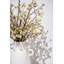 Arrangement de fleurs de cerisier dans un vase