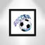 Fille de football 1-48163485-48188683