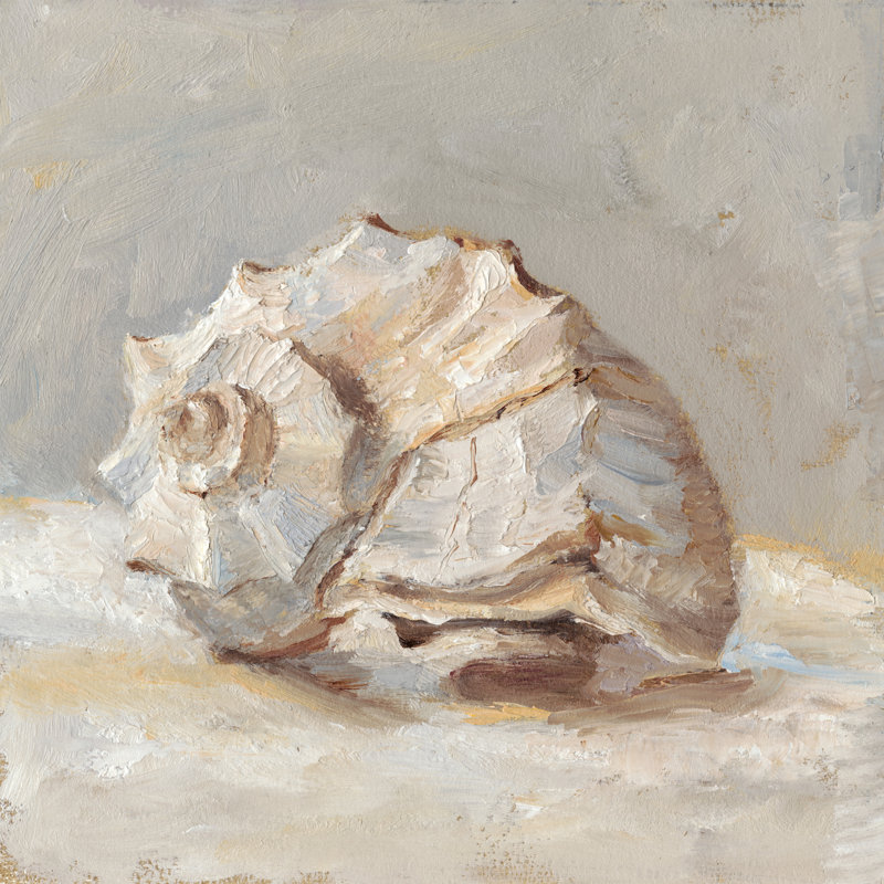 Impressionist Shell Study II by Ethan Harper - Wrapped Canvas Painting, 122cm H x 122cm W x 3.8cm D