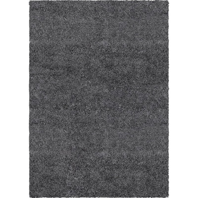 Indoor Rug