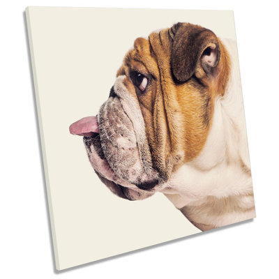 Z1884 British Bulldog Tongue - Wrapped Canvas Print