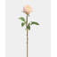 Real Touch Cream Pink English Rose 24"