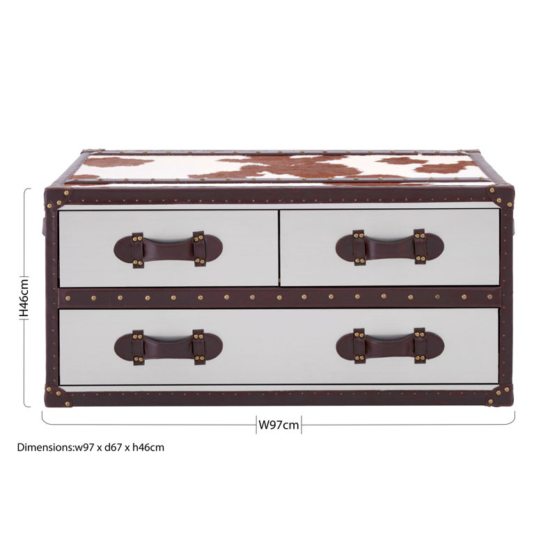 Eden Solid Coffee Table with Storage