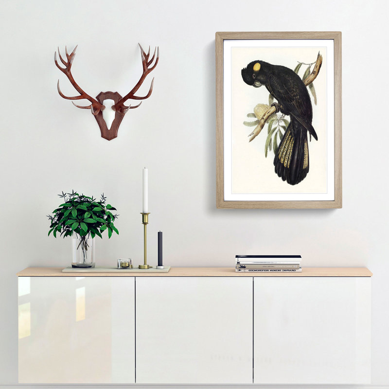 Funereal Cockatoo by Elizabeth Gould - Framed Print, Oak Framed, 65cm H x 48cm W x 2cm D