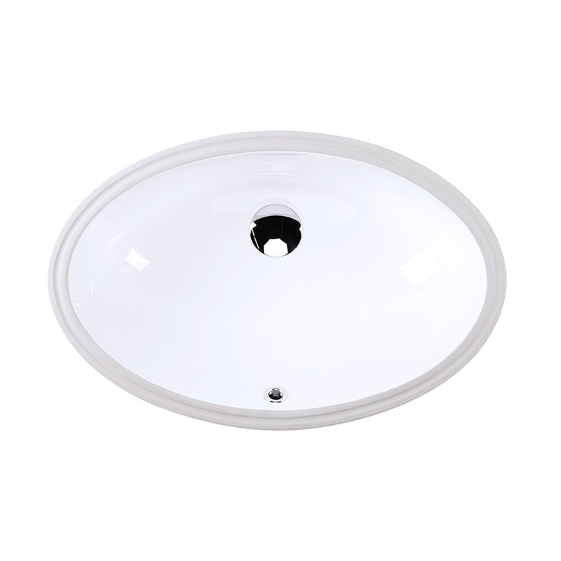 Euro 23.12'' L Bathroom Sink