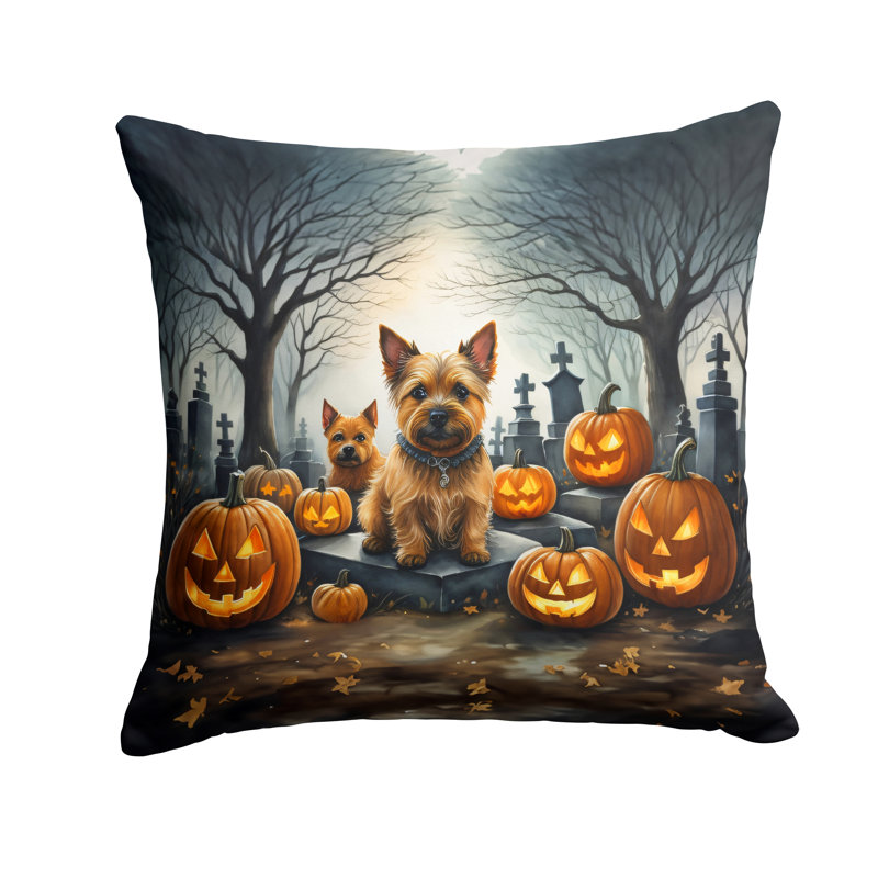 Other/No Pattern Outdoor Throw Pillow, 18" x 18"